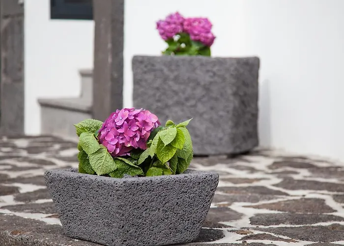 A Casa Da Silva Lägenhet *